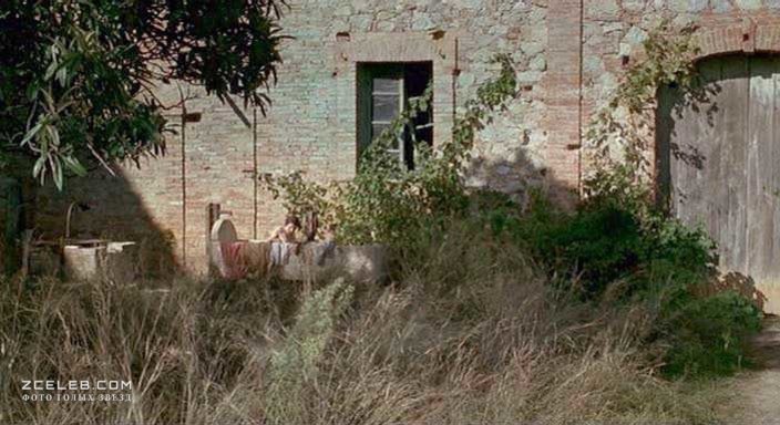 image 8 image 8