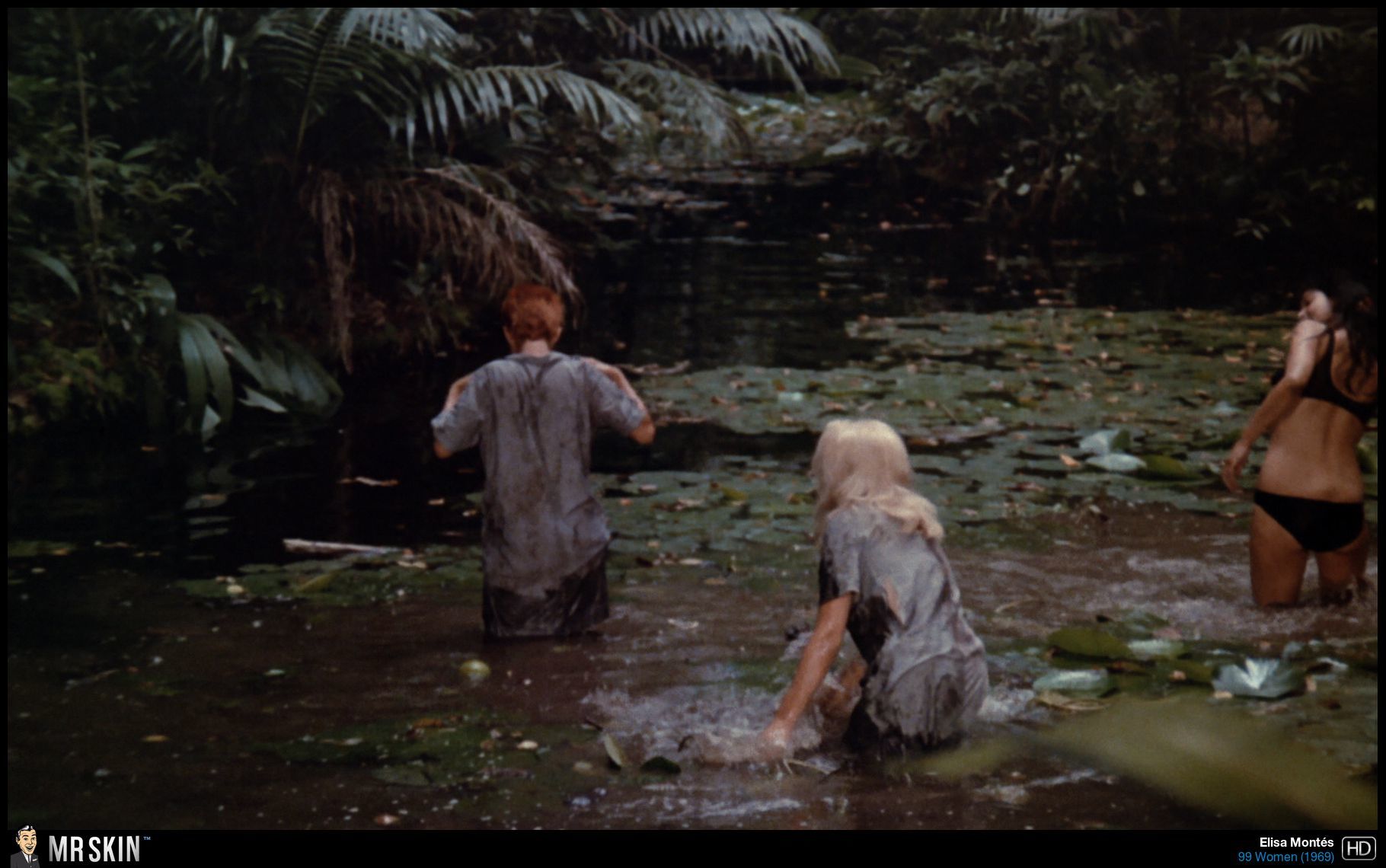 image 11 image 11