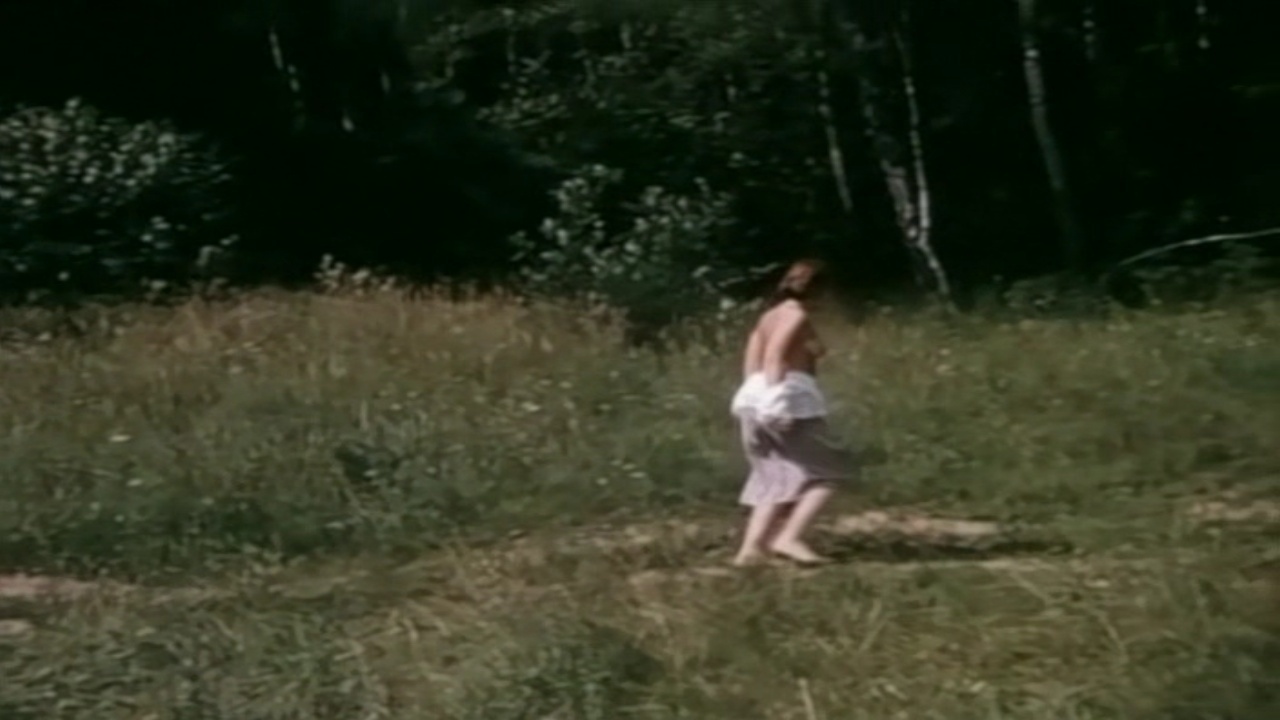 image 3 image 3