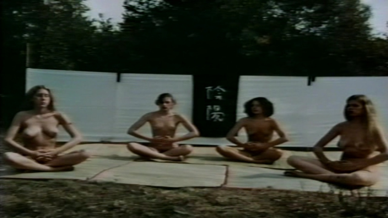 image 3 image 3