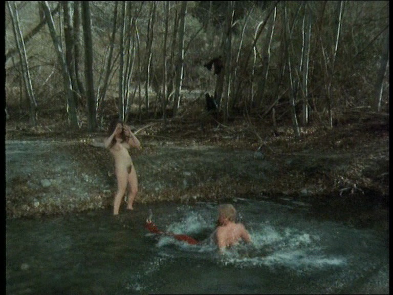 image 5 image 5
