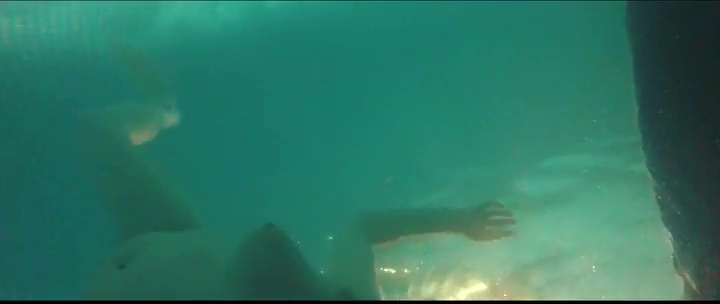 image 11 image 11