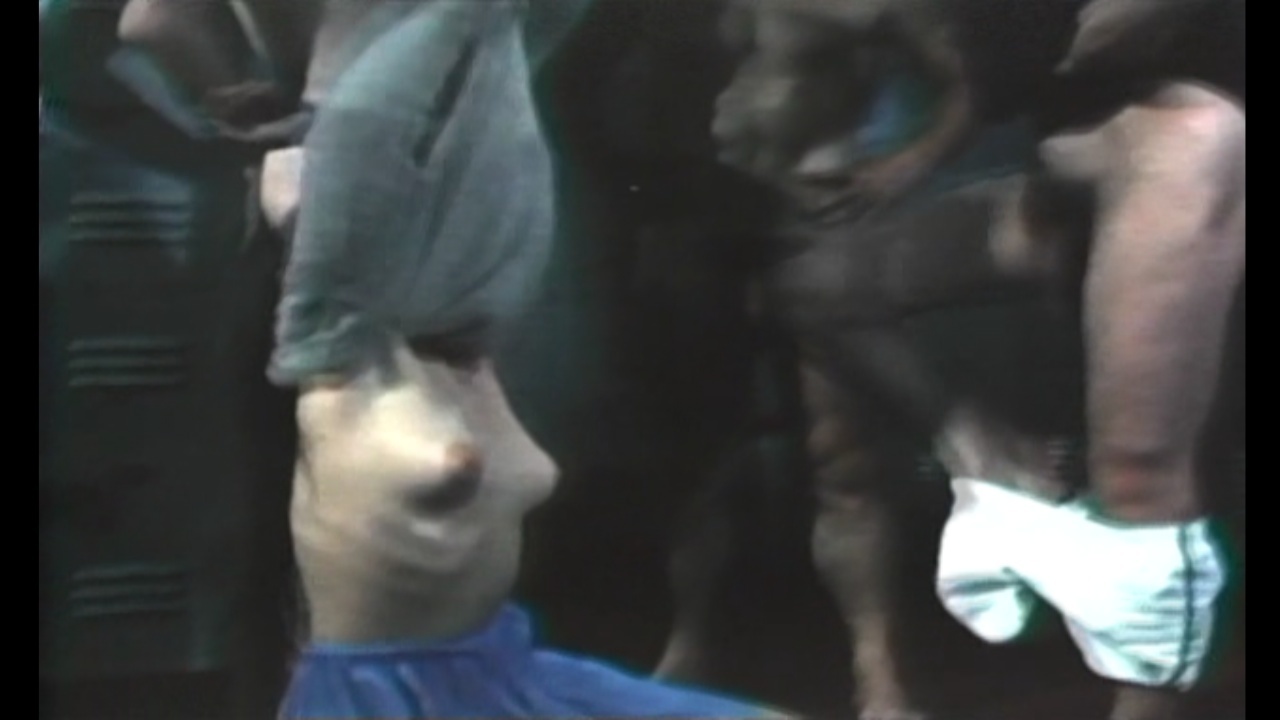 image 5 image 5