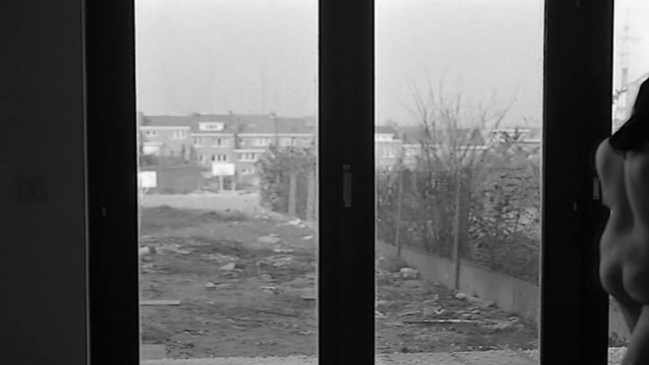 image 7 image 7