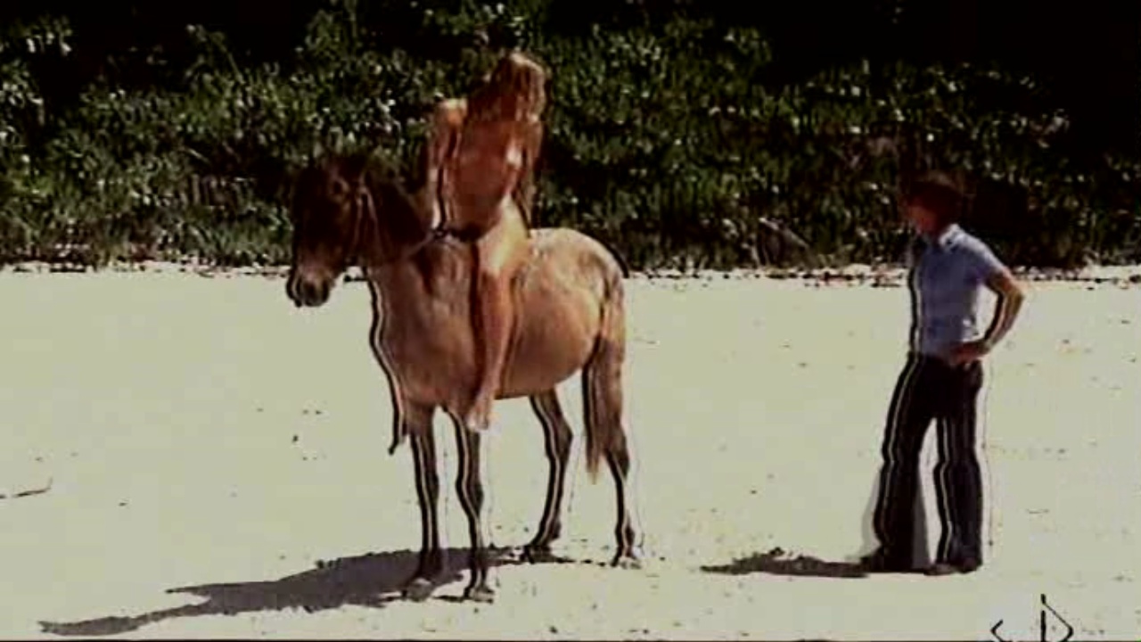 image 7 image 7