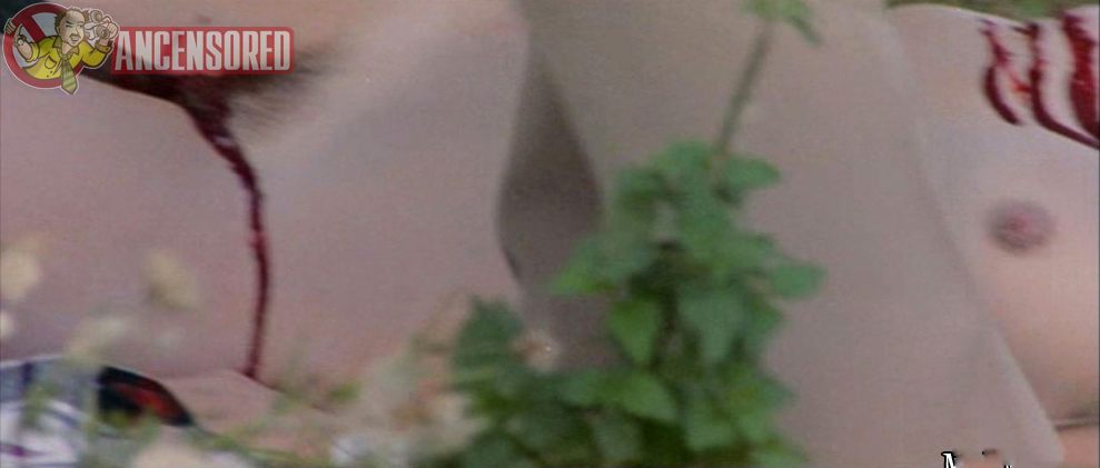 image 5 image 5